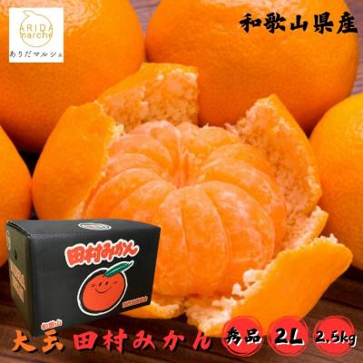 ふるさと納税 湯浅町 &lt;2025年11月〜発送&gt;[和歌山特産品][プレミアムブランド]田村みかん 秀品 約2.5kg
