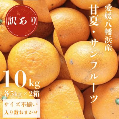 ふるさと納税 八幡浜市 甘夏&amp;サンフルーツ各5kg[訳あり][C20-19]