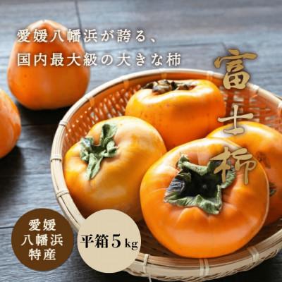 ふるさと納税 八幡浜市 [八幡浜特産 国内最大級の 柿] 富士柿 5kg 種無し[D20-21]
