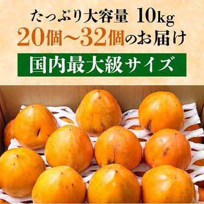 ふるさと納税 八幡浜市 《八幡浜特産 国内最大級の 柿》 富士柿 10kg
