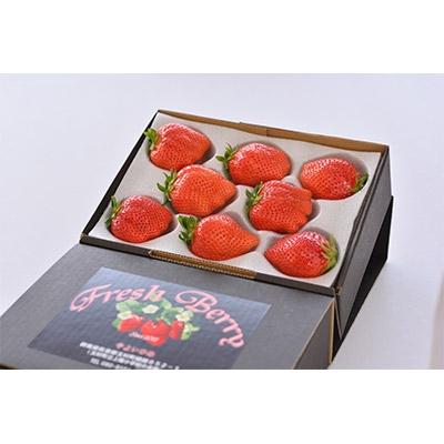 ふるさと納税 玉村町 &lt;2026年1月より順次発送開始&gt;群馬県やよいひめ いちご 約400g (1)