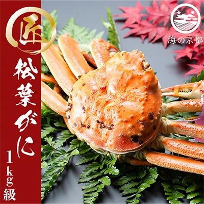 ふるさと納税 宮津市 茹で松葉蟹 特大1杯(1,000g級)