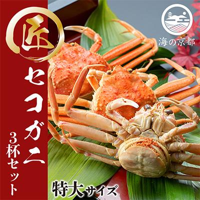 ふるさと納税 宮津市 セコガニ コッペがに 特大サイズ 3杯セット