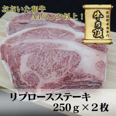 ふるさと納税 津久見市 おおいた和牛A4ランク以上 リブロースステーキ約250g×2枚 合計500g以上[低温熟成]