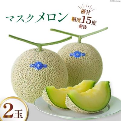 ふるさと納税 島原市 [令和8年11-12月出荷分]堀農園 マスクメロン 2玉
