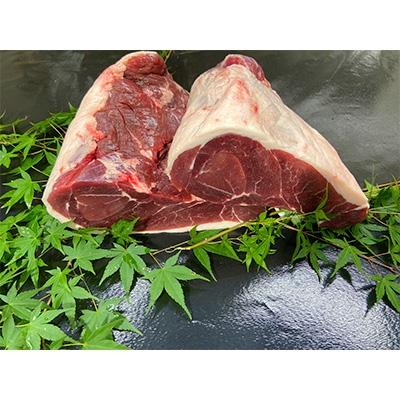 ふるさと納税 東みよし町 徳島県産【イノシシ肉カレー、シチュー用】約300g | 