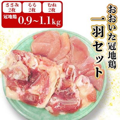ふるさと納税 竹田市 おおいた冠地鶏1羽セット(約0.9〜1.1kg)