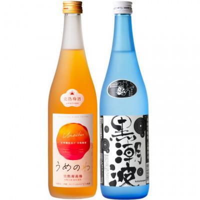 ふるさと納税 美浜町 ≪美浜町≫焼酎 黒潮波(くろしおなみ)720mlと紀州 完熟南高梅「梅酒」720mlの2本セット