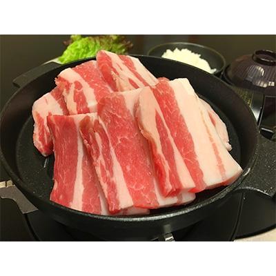 ふるさと納税 木津川市 特撰黒毛和牛・黒豚のランチお食事券(1名様分)_2