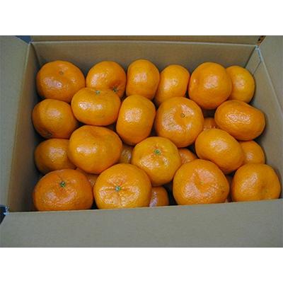 ふるさと納税 観音寺市 新品種みかん「西南のひかり」約5kg