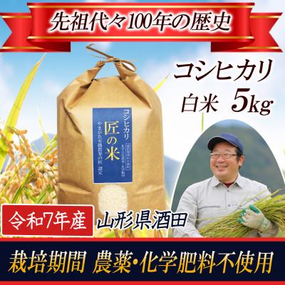ふるさと納税 酒田市 ◆新米◆[栽培期間中農薬不使用]コシヒカリ 精米5kg 大粒LLサイズ以上厳選 令和7年産