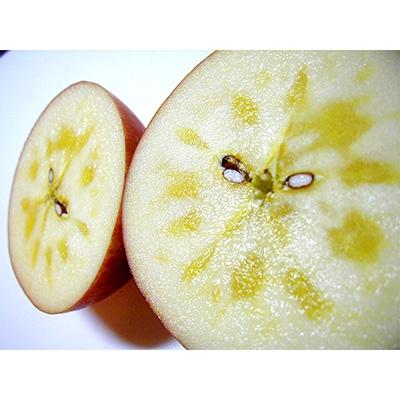 ふるさと納税 南部町 青森南部町産 [濃厚りんご] サンふじ スタンダード 約5kg