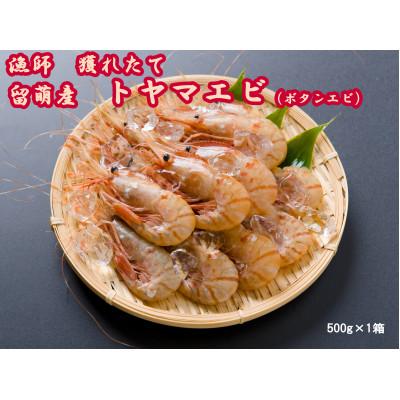 ふるさと納税 留萌市 [漁師採りたて 留萌産]トヤマエビ(ボタンエビ)・500g×1箱