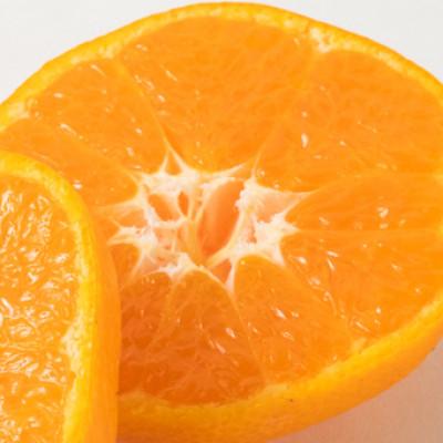 ふるさと納税 九度山町 [2026年11月下旬より発送] 紀州有田産完熟有田みかん10kg