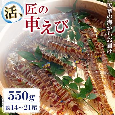 ふるさと納税 上天草市 先行予約! 期間限定![上天草ブランド認証品] 活、匠の車えび 550g約14〜21尾 [丸山えび]