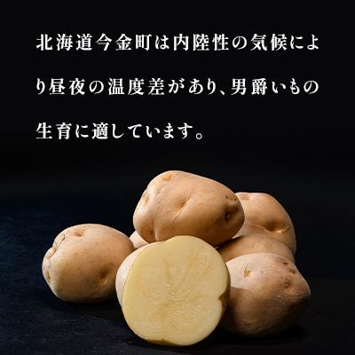 ふるさと納税 今金町 北海道今金産【今金男爵】じゃがいも 　10kg |  | 01