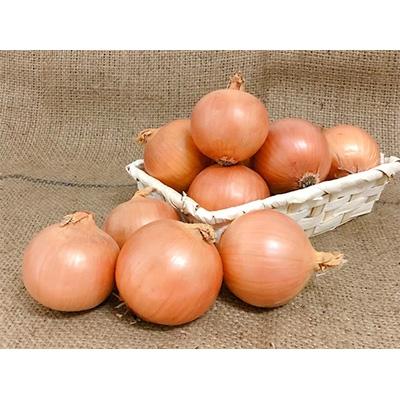 ふるさと納税 今金町 北海道今金産玉ねぎ S〜L大 混サイズ 13kg