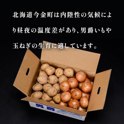 ふるさと納税 今金町 北海道今金産　男爵&玉ねぎセット　各約4kg |  | 01
