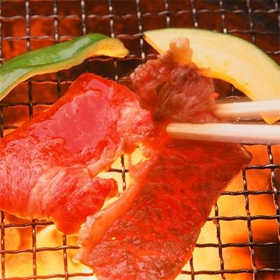 ふるさと納税 新温泉町 但馬牛焼肉セット【500g】 |  | 03