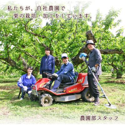 ふるさと納税 飯田市 【厳選した長野県産の栗を贅沢に使用!】　栗きんとん　8個 |  | 02