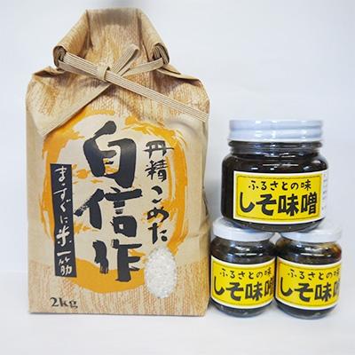 ふるさと納税 佐渡市 [令和7年産]佐渡高千産コシヒカリとご飯のお供セット