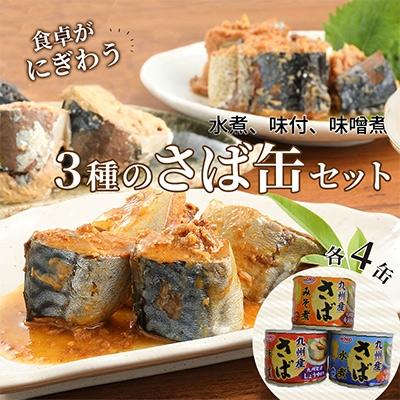 ふるさと納税 松浦市 さば缶セット(3種×各4缶)