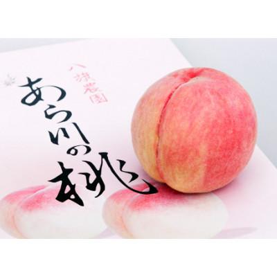 ふるさと納税 紀の川市 [産直・特産品]和歌山県産 あら川の桃 4kg秀品 化粧箱入[数量限定]