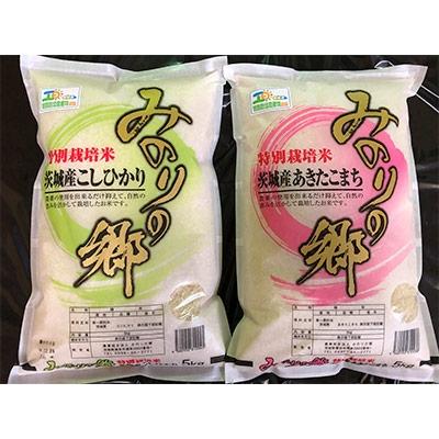 ふるさと納税 潮来市 新米[計10kgセット]みのりの郷 令和7年産特別栽培米こしひかり・あきたこまちセット[精米]