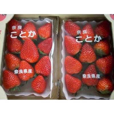 ふるさと納税 河合町 奈良 かたおかの苺「古都華(ことか)」約270g×4パック