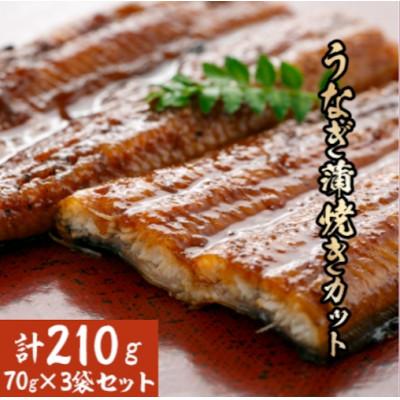 ふるさと納税 四万十町 うなぎ蒲焼きカット3袋セット