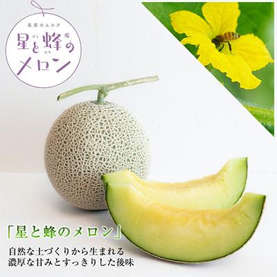ふるさと納税 御代田町 [令和8年度産先行受付]星と蜂のメロン Mサイズ2玉