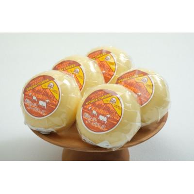 ふるさと納税 真庭市 蒜山ジャージーゴーダチーズ200グラム ※5個入[蒜山酪農農業協同組合]