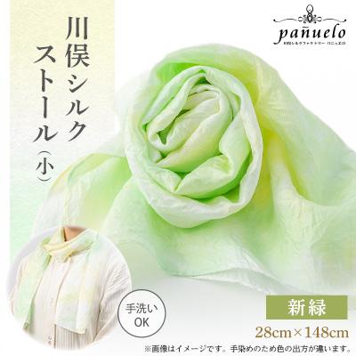 ふるさと納税 川俣町 川俣シルクストール(小)新緑