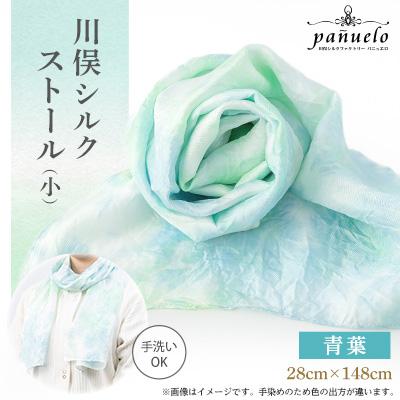 ふるさと納税 川俣町 川俣シルクストール(小)青葉