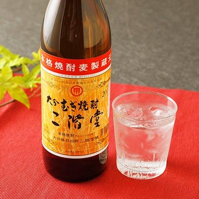 ふるさと納税 日出町 大分むぎ焼酎 二階堂20度(900ml)12本セット AG24