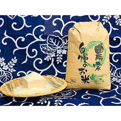 ふるさと納税 吉田町 農家直送 きぬむすめ 5kg