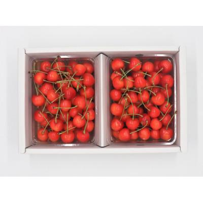 ふるさと納税 村山市 (秀品)山形のさくらんぼ紅秀峰L-2L玉 約1kg(約500g×2パック)
