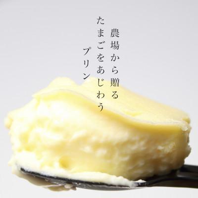 ふるさと納税 北広島町 『四ツ葉農場』のプリンのセット(6個)