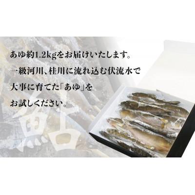ふるさと納税 大月市 山梨県産　桂川の冷凍あゆ　約1.2kg(約13〜15尾) |  | 01
