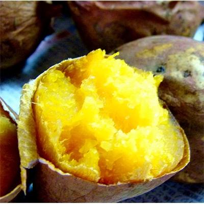 ふるさと納税 福知山市 2ヶ月熟成 あま〜いサツマイモ シルクスイート 2kg