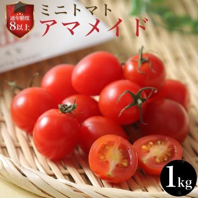 ふるさと納税 岸和田市 通年糖度8以上のミニトマト「アマメイド」1kg