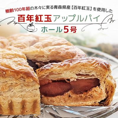 ふるさと納税 十和田市 青森県十和田市産 百年紅玉アップルパイ ホール5号