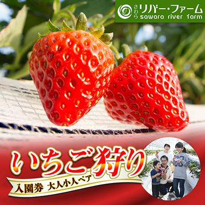 ふるさと納税 香取市 さわらリバー・ファーム「いちご狩り」入園券(大人小人ペア)