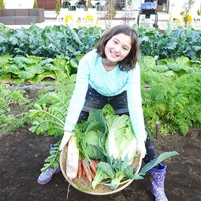 ふるさと納税 小金井市 野菜の収穫体験引換券(1家族6名様まで)