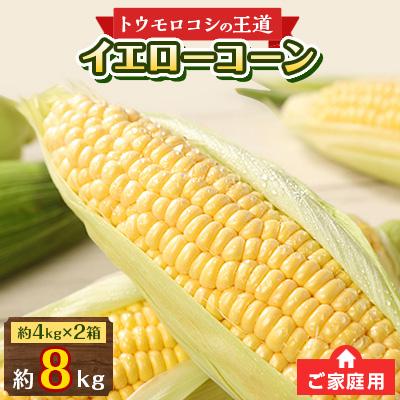 ふるさと納税 高松市 訳あり ご家庭用 瀬戸内イエローコーン 約8kg[6月中旬〜7月中旬]