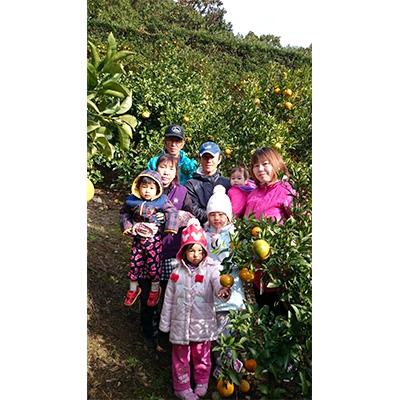 ふるさと納税 須崎市 ヤマデ農園　安和ポンカン秀品3kg |  | 02
