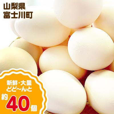 ふるさと納税 富士川町 ひまわりたまご40個程度(破卵補償10個含)