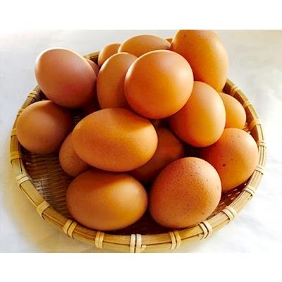 ふるさと納税 富士川町 ひまわりたまご紅白セット40個程度(破卵補償10個含)