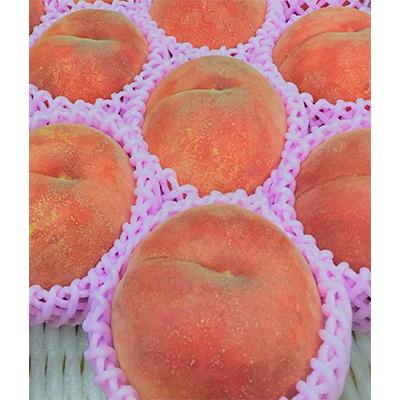 ふるさと納税 村山市 村山市産 桃「川中島」約3kg