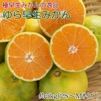 ふるさと納税 美浜町 [極早生みかんの逸品]有田産ゆら早生みかん 約5kg(美浜町)